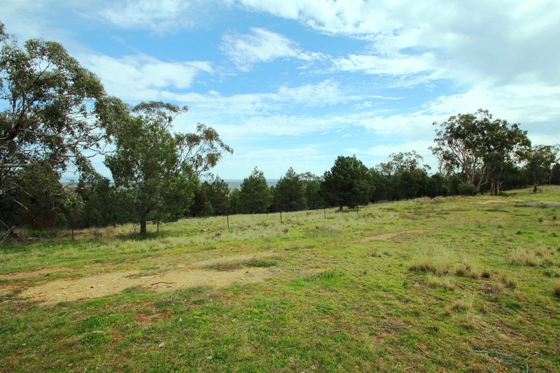 Photo - 65 Ray Carter Drive, Quirindi NSW 2343 - Image 3