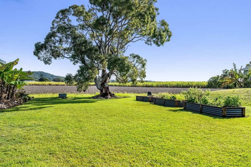 Photo - 65 Riverbank Road, Pimlico NSW 2478 - Image 25