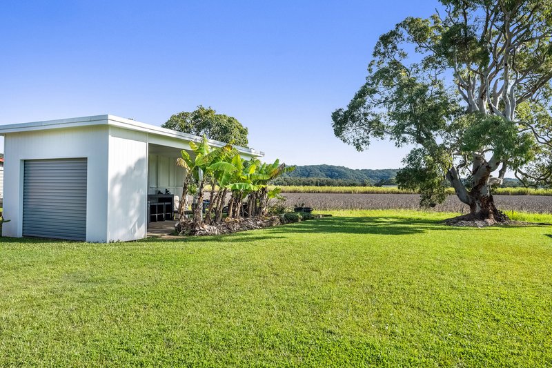 Photo - 65 Riverbank Road, Pimlico NSW 2478 - Image 26
