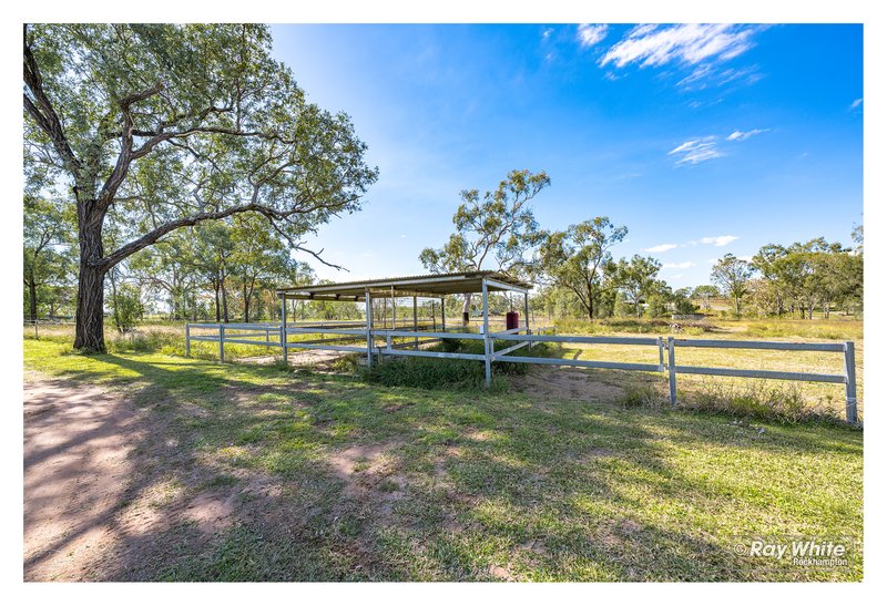 Photo - 65 Stewart Street, Gracemere QLD 4702 - Image 24