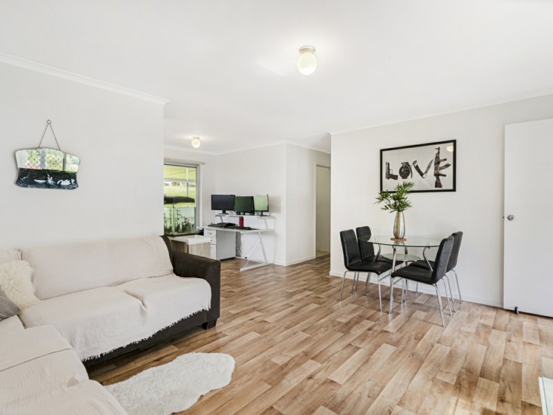 Photo - 65 The Domain, Nerang QLD 4211 - Image 3