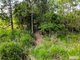 Photo - 65 Venture Road, Mount Chalmers QLD 4702 - Image 14