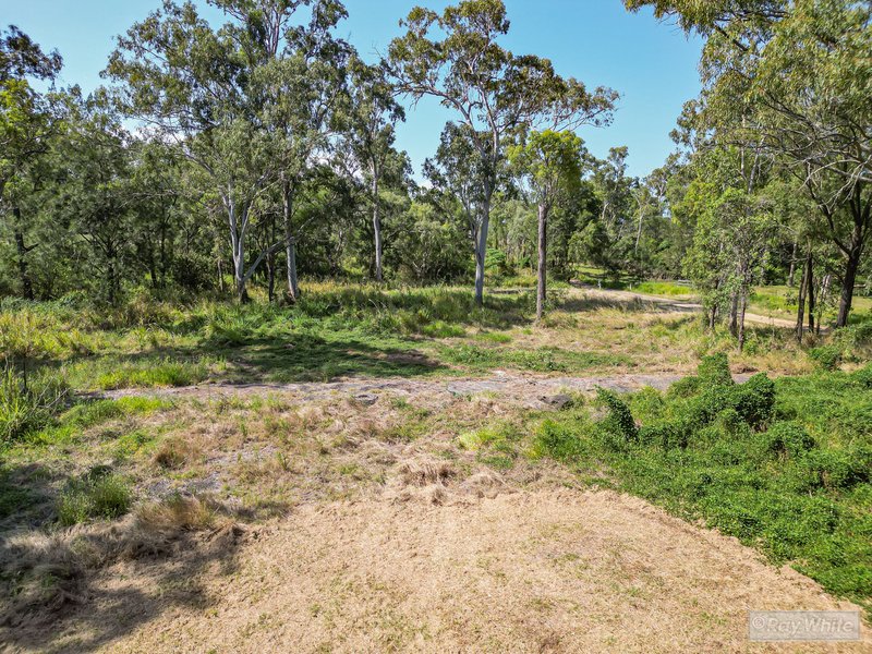 Photo - 65 Venture Road, Mount Chalmers QLD 4702 - Image 16