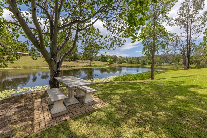 Photo - 65 Waterside Drive, Wamuran QLD 4512 - Image 31