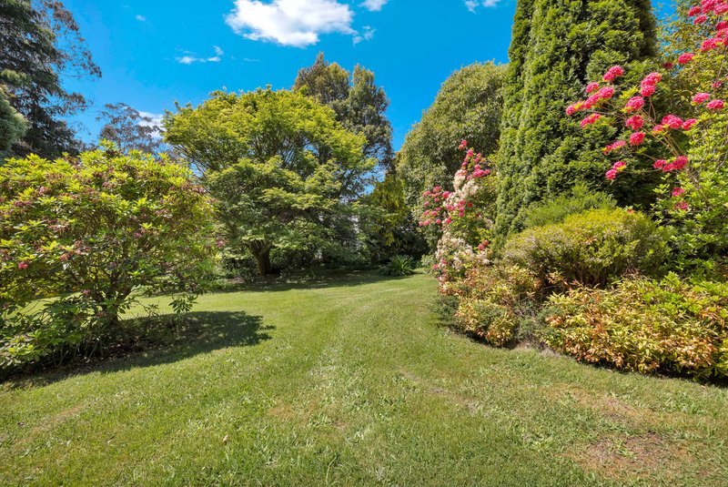 Photo - 650 Nayook-Powelltown Road, Piedmont VIC 3833 - Image 16