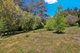 Photo - 650 Nayook-Powelltown Road, Piedmont VIC 3833 - Image 20