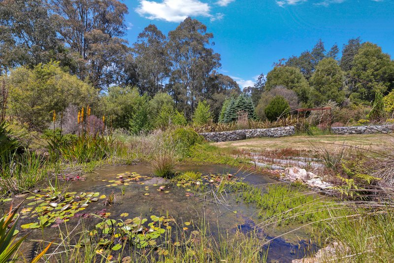 Photo - 650 Nayook-Powelltown Road, Piedmont VIC 3833 - Image 21