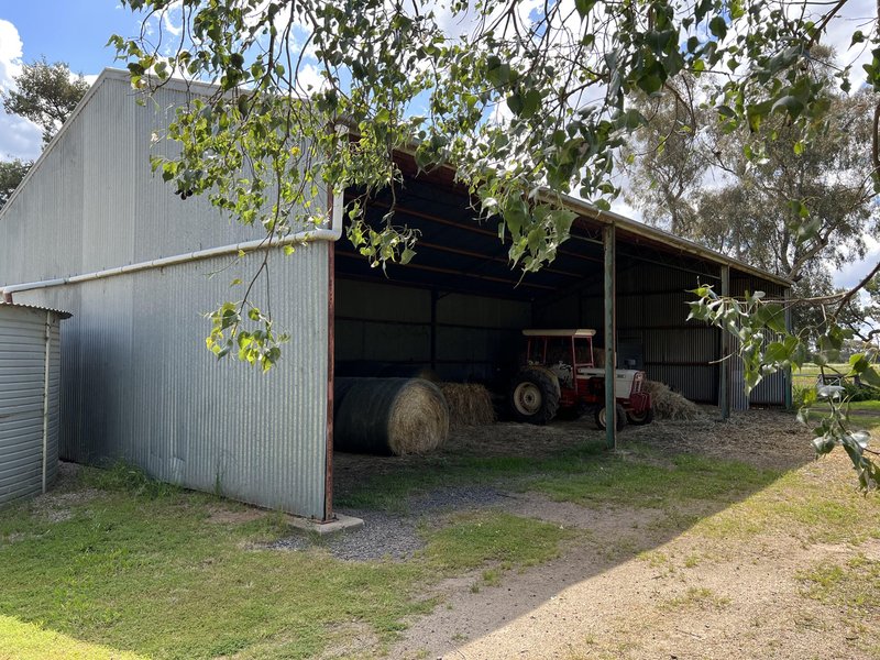 Photo - 651 Jerilderie Road, Berrigan NSW 2712 - Image 6