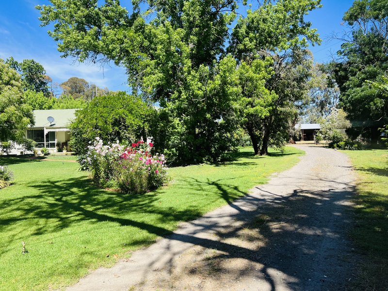 Photo - 651 Jerilderie Road, Berrigan NSW 2712 - Image 11