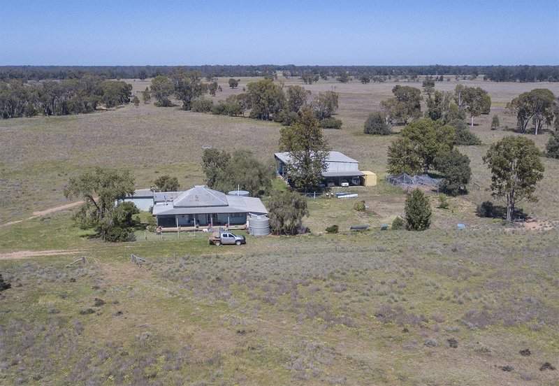 651 Wangmans Road, Baradine NSW 2396