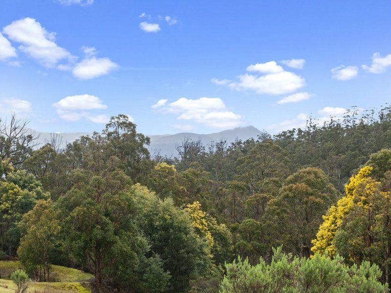 Photo - 652 Collins Cap Road, Collinsvale TAS 7012 - Image 21