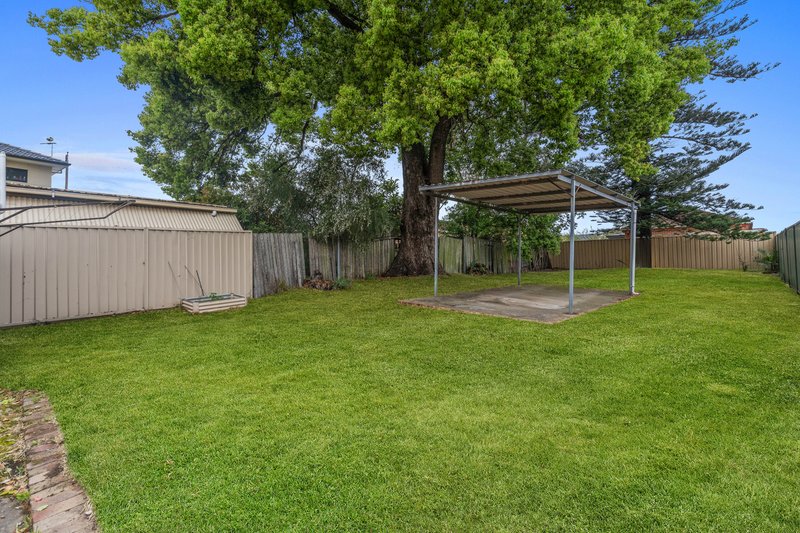Photo - 652 Forest Road, Bexley NSW 2207 - Image 7