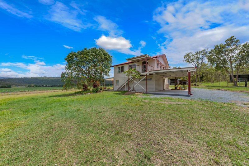 Photo - 655 Gregory Cannon Valley Road, Strathdickie QLD 4800 - Image 13