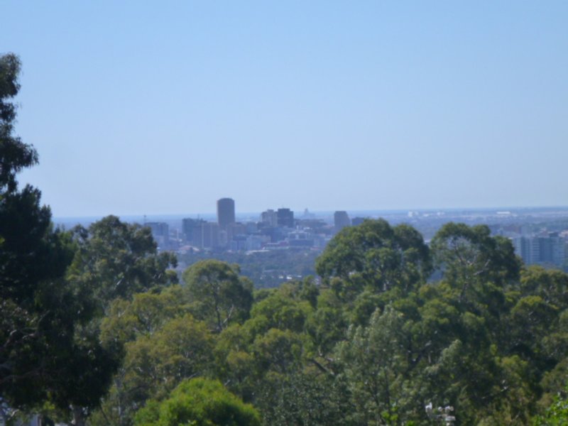 Photo - 65/5 Mount Barker Road (Mira Monte Estate) , Urrbrae SA 5064 - Image 18