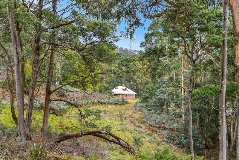 655 Nubeena Back Road, Koonya TAS 7187