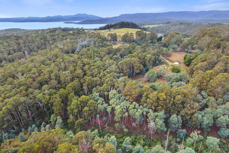 Photo - 655 Nubeena Back Road, Koonya TAS 7187 - Image 4