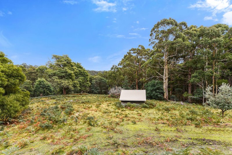 Photo - 655 Nubeena Back Road, Koonya TAS 7187 - Image 14