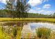 Photo - 657 Yarratt Road, Upper Lansdowne NSW 2430 - Image 4