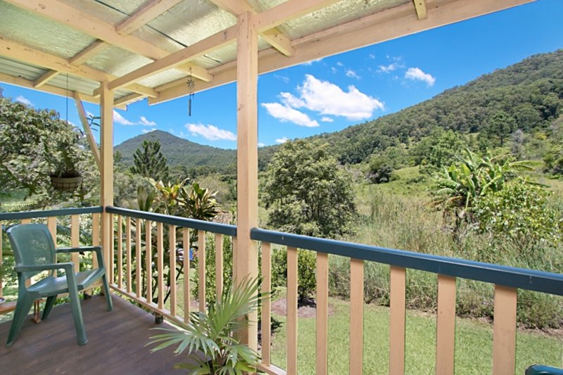 Photo - 659-675-685 Hopkins Creek Road, Chillingham NSW 2484 - Image 18