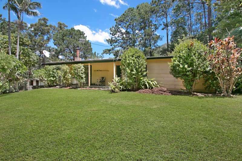 Photo - 659-675-685 Hopkins Creek Road, Chillingham NSW 2484 - Image 19