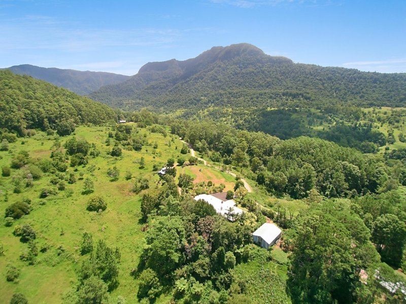 Photo - 659-675-685 Hopkins Creek Road, Chillingham NSW 2484 - Image 22