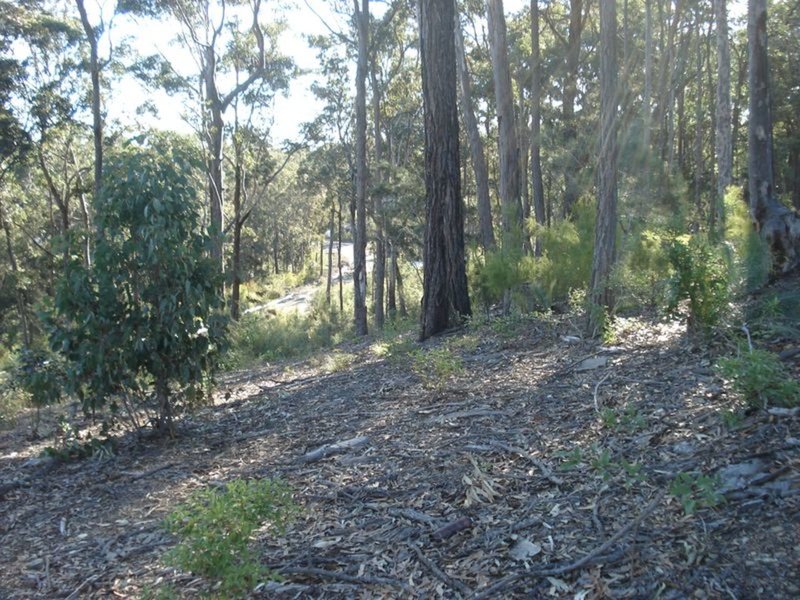 Photo - 66 Bellbird Drive, Malua Bay NSW 2536 - Image 2