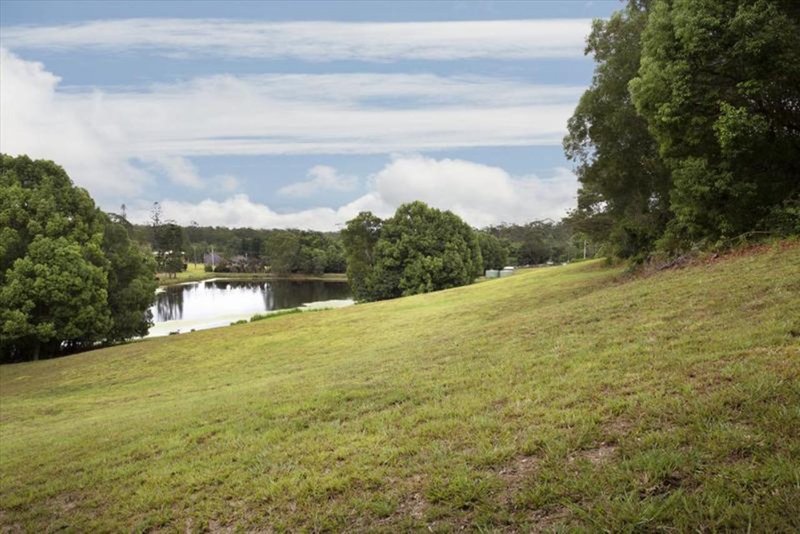 Photo - 66 Belleden Place, Cooroy QLD 4563 - Image 6