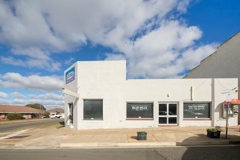 Photo - 66 Combermere Street, Goulburn NSW 2580 - Image 2