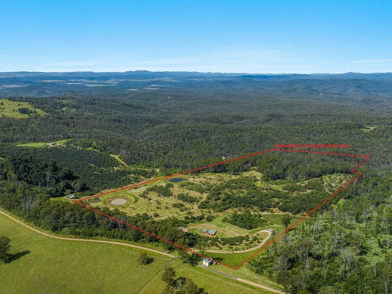 66 Crescent Hills Road, Tabulam NSW 2469