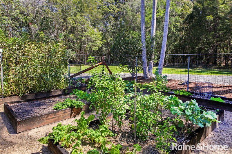 Photo - 66 Eucalypt Way, Cootharaba QLD 4565 - Image 29