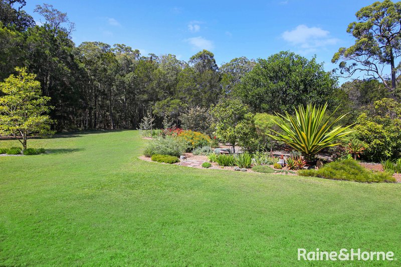 Photo - 66 Eucalypt Way, Cootharaba QLD 4565 - Image 33