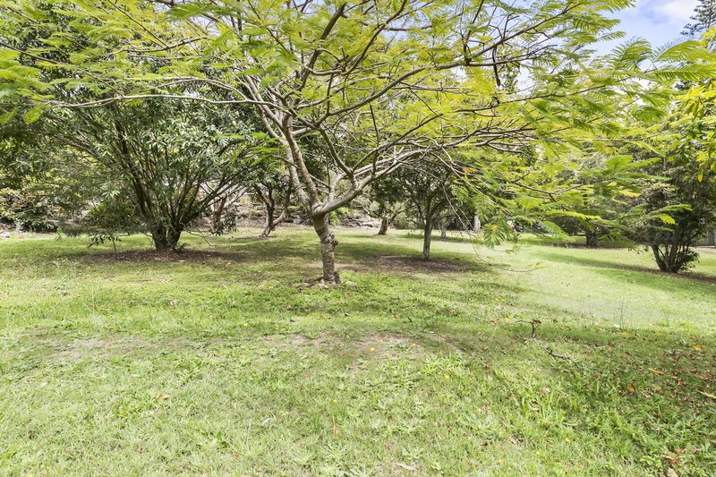 Photo - 66 Forestwood Dr , Buderim QLD 4556 - Image 21