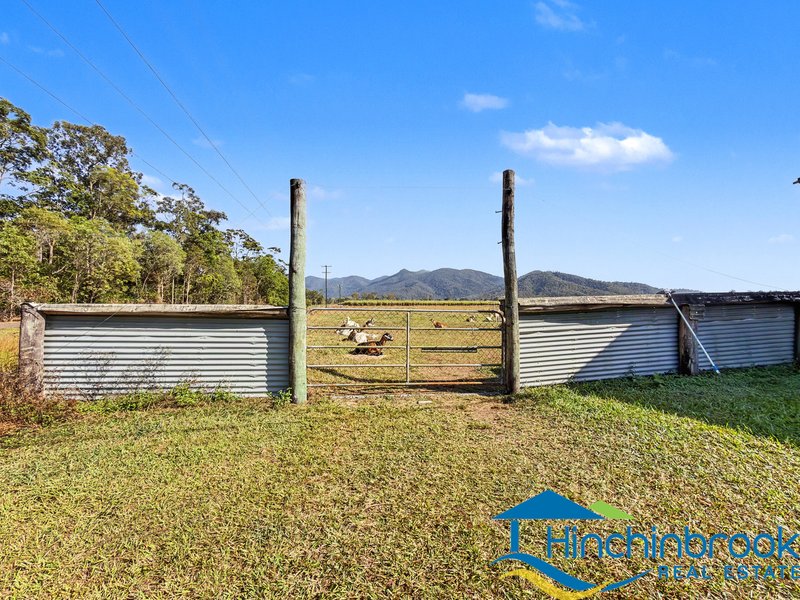 Photo - 66 Hamilton Road, Cardwell QLD 4849 - Image 6