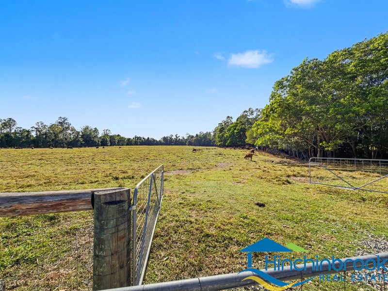 Photo - 66 Hamilton Road, Cardwell QLD 4849 - Image 8