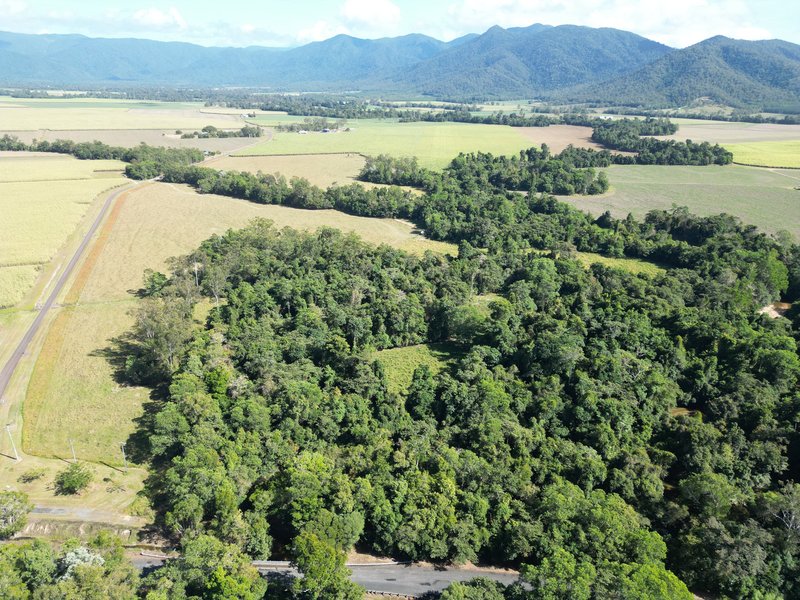 Photo - 66 Hamilton Road, Cardwell QLD 4849 - Image 27