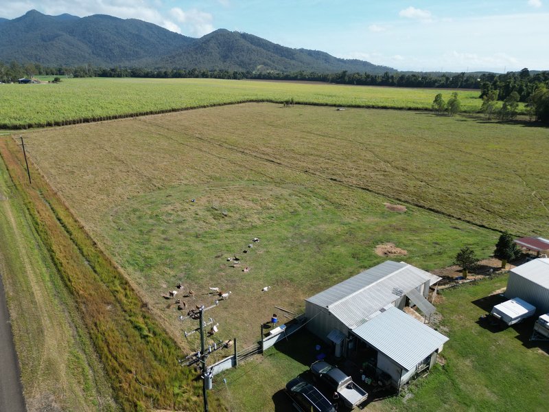 Photo - 66 Hamilton Road, Cardwell QLD 4849 - Image 32