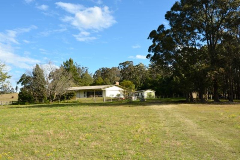 Photo - 66 Hillsborough Road, Maitland Vale NSW 2320 - Image 7