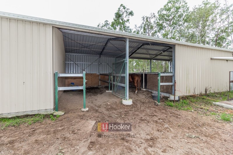 Photo - 66 Hives Road, North Maclean QLD 4280 - Image 5