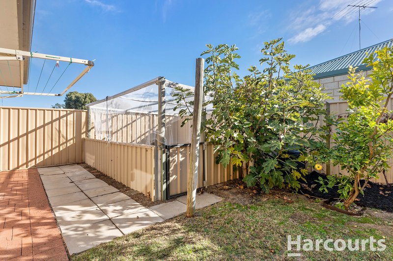 Photo - 66 Koolinda Street, Falcon WA 6210 - Image 10