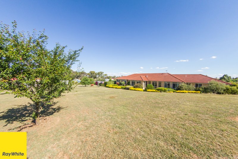 Photo - 66 Merryville Dr. , Murrumbateman NSW 2582 - Image 9