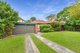 Photo - 66 Newton Road, Strathfield NSW 2135 - Image 1