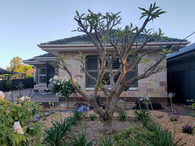 66 North Parade, Torrensville SA 5031