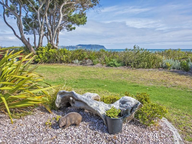 Photo - 66 Old Bass Highway, Wynyard TAS 7325 - Image 8