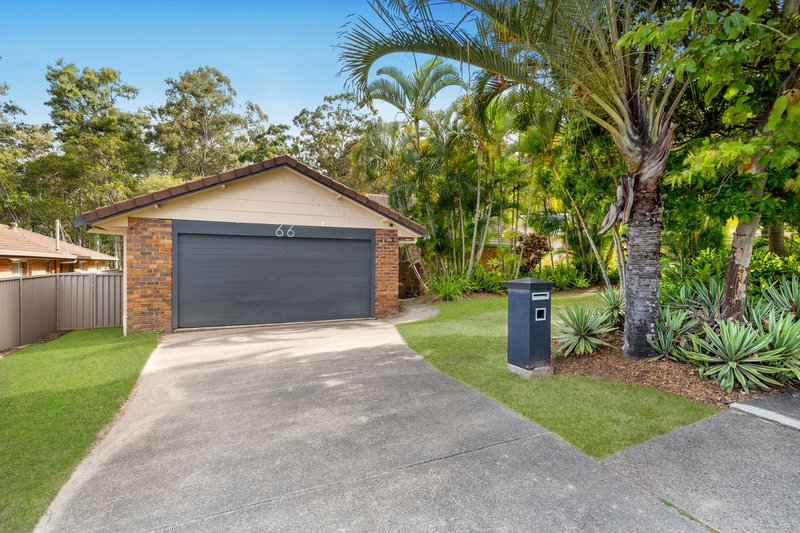 66 Parasol Street, Ashmore QLD 4214