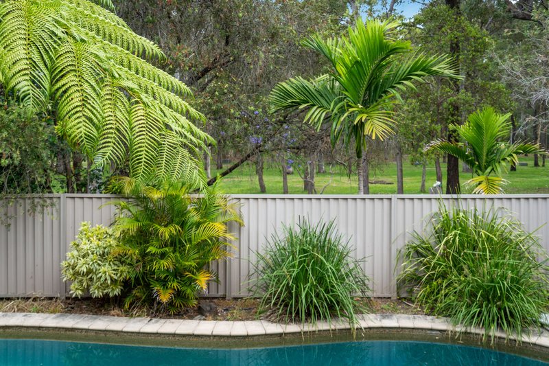 Photo - 66 Parasol Street, Ashmore QLD 4214 - Image 16