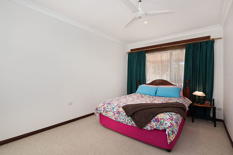 Photo - 66 Pittards Road, Buderim QLD 4556 - Image 5