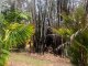 Photo - 66 Stratford Park, Pomona QLD 4568 - Image 27