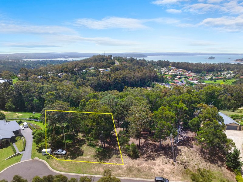 66 Yarrabee Drive, Catalina NSW 2536