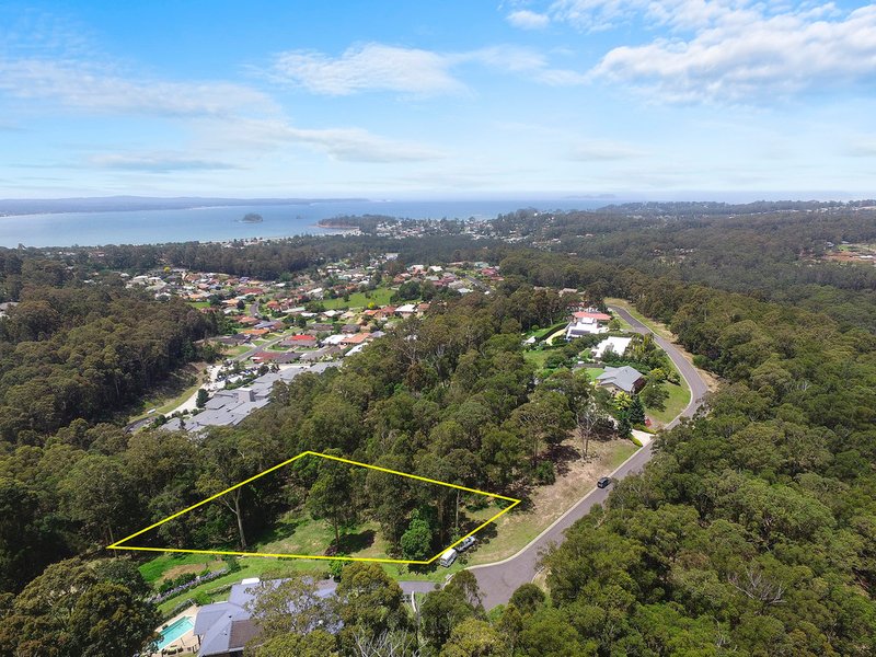 Photo - 66 Yarrabee Drive, Catalina NSW 2536 - Image 2