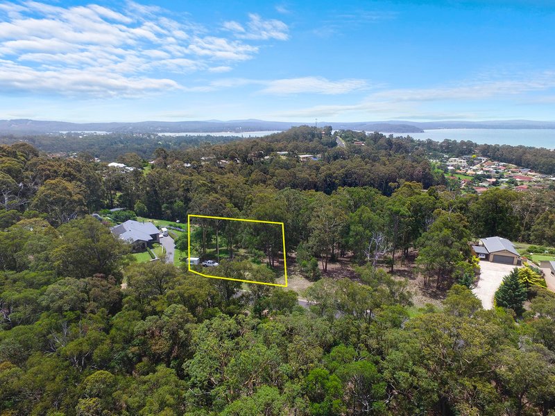 Photo - 66 Yarrabee Drive, Catalina NSW 2536 - Image 4